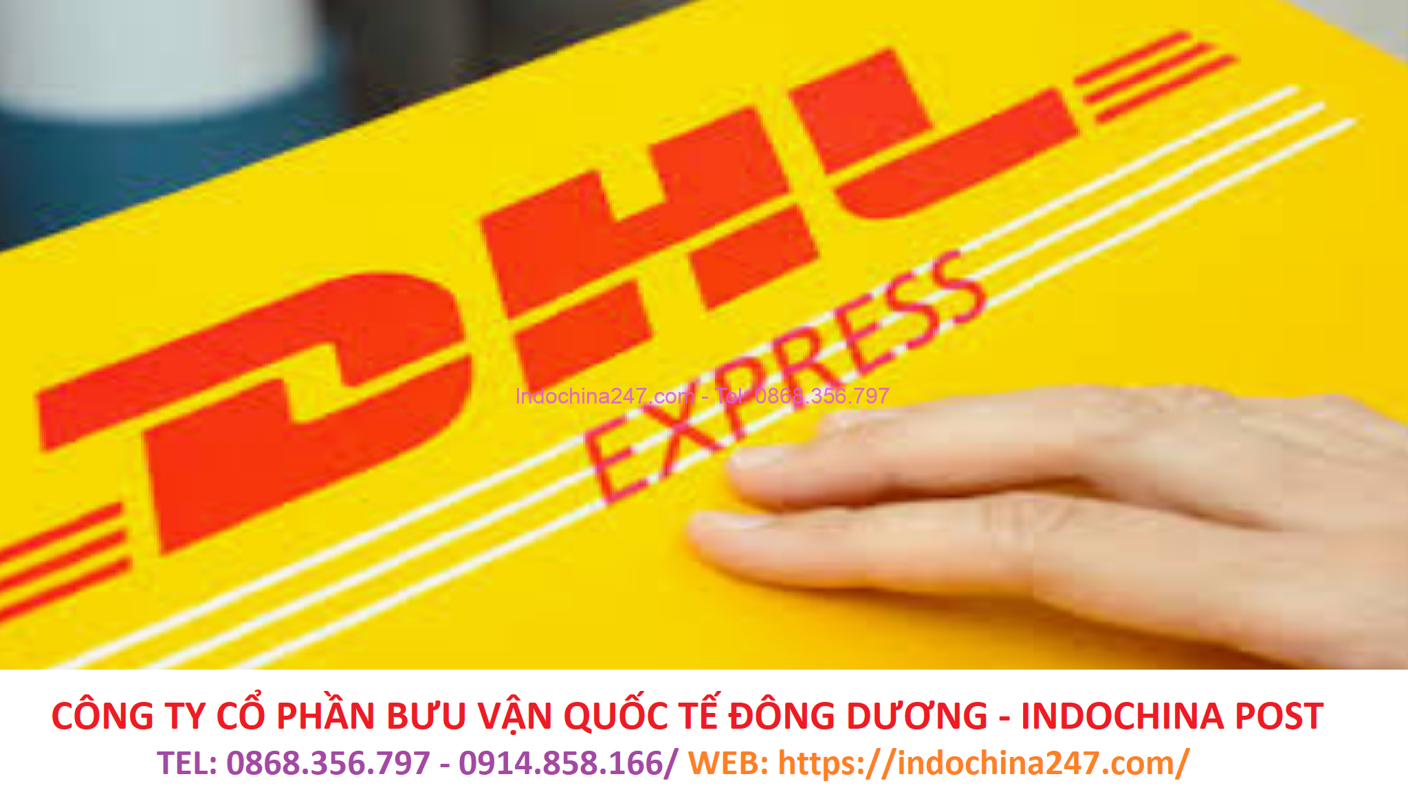 Dịch vụ chuyển phát nhanh từ Hà Nội đi Mississippi (Mỹ)