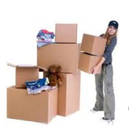 Vận chuyển hàng đi Nhật giá rẻ