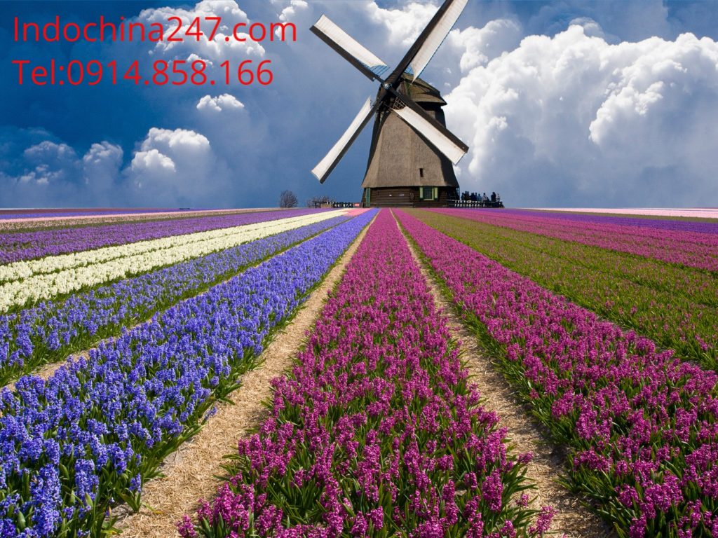 Indochina247 nhận ship gửi hàng từ Anh về Việt Nam