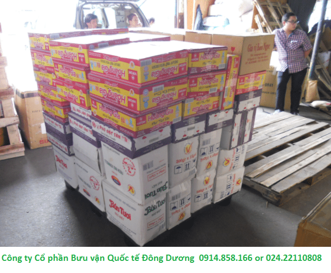 Indochina247 - Công ty vận chuyển hàng lẻ chuyên nghiệp