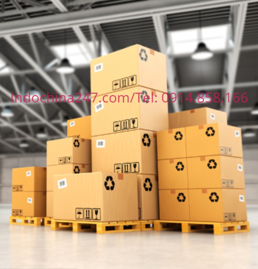 Dịch vụ vận chuyển ship gửi hàng từ Florida Mỹ về Việt Nam giá cực tốt