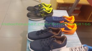 Dịch vụ vận chuyển Đức phẩm từ Đức về Việt nam