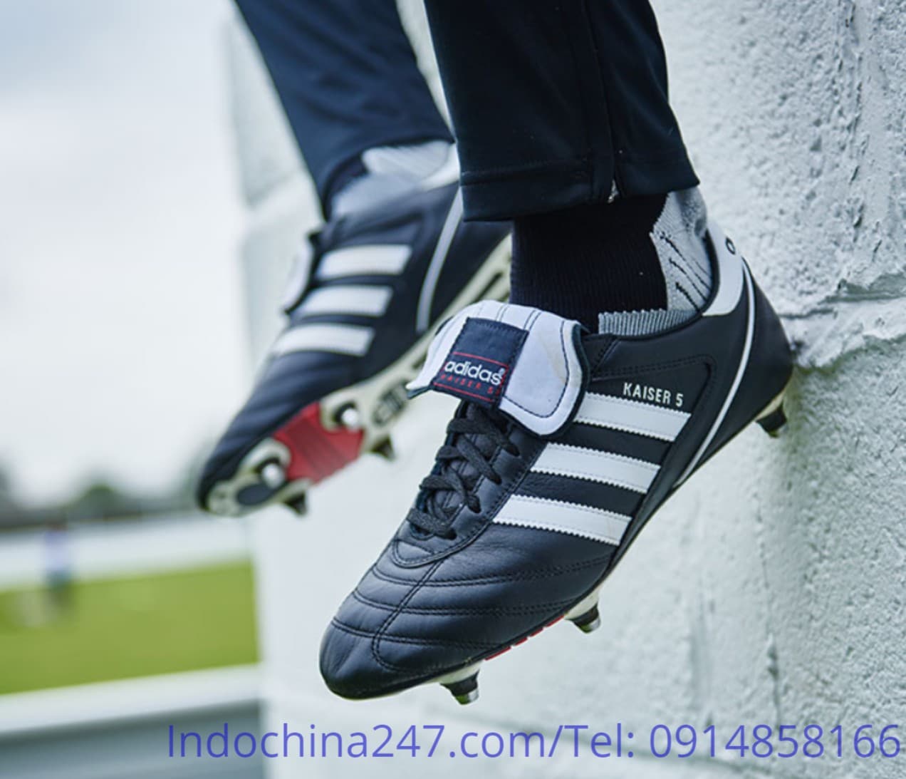 Dịch vụ mua hộ chuyển phát nhanh giày từ Nhật về Việt Nam