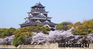 vận chuyển hàng từ Nhật Bản về Việt Nam giá rẻ