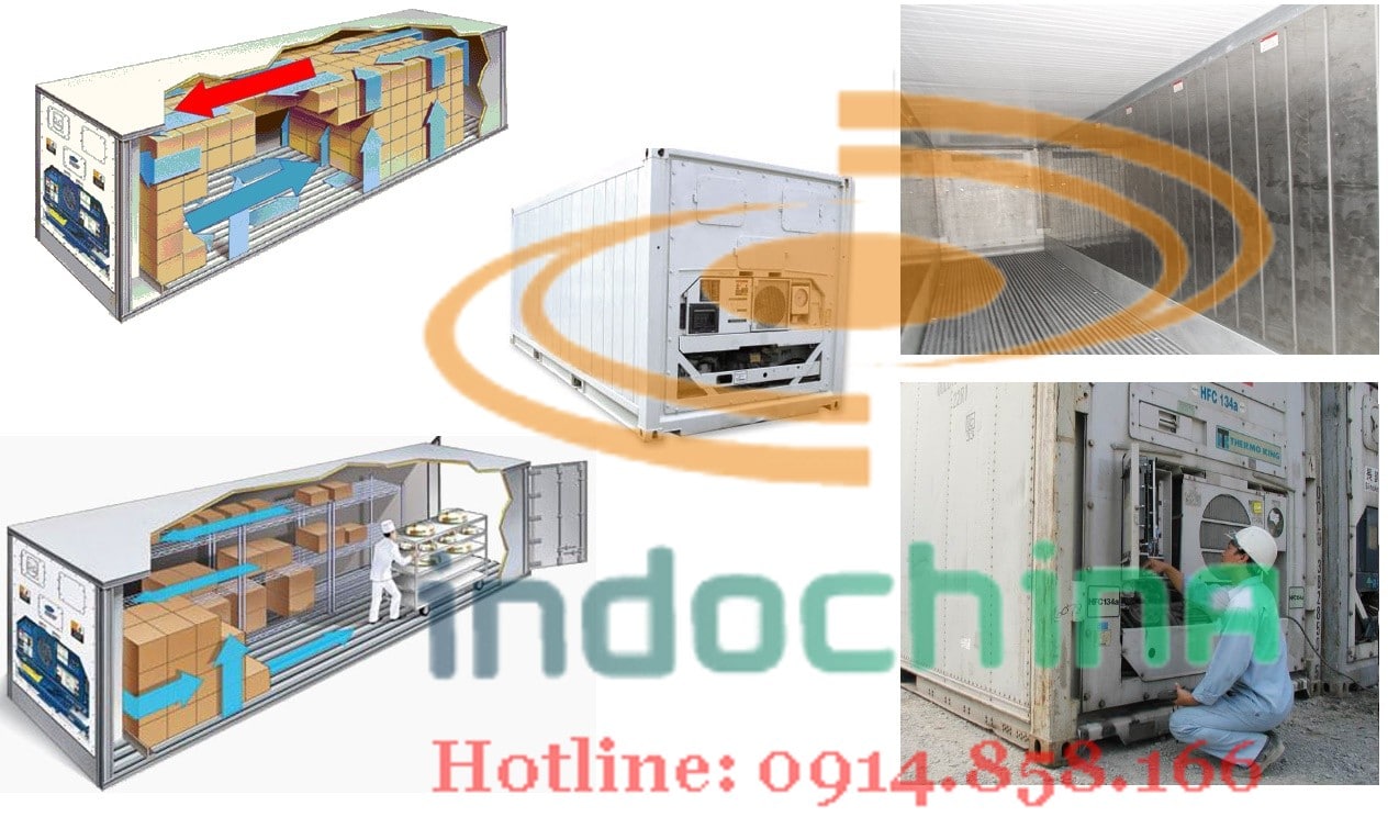 Vận chuyển container lạnh từ Nga về Việt Nam