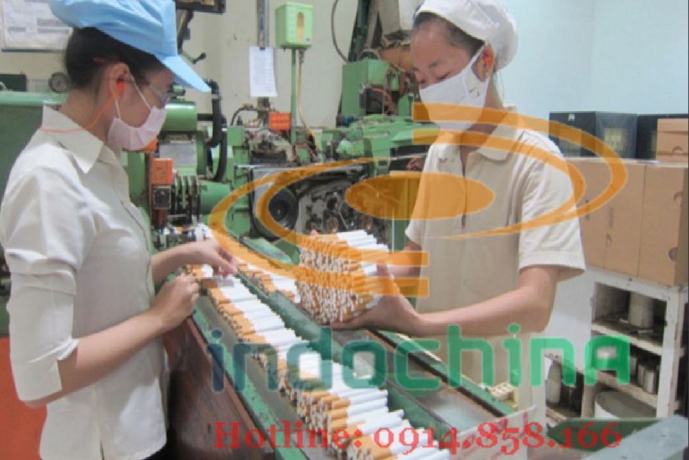 Vận chuyển hàng lẻ đường biển siêu rẻ đến cảng Nagoya