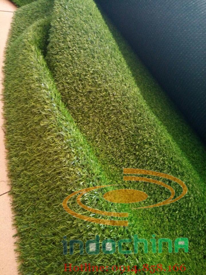 Chuyển hàng xách tay từ Trung Quốc Hàn Quốc và Nhật về Việt Nam giá rẻ