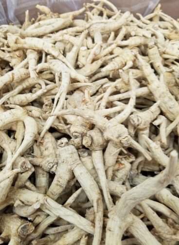 Nhận vận chuyển hàng từ Canada và Mỹ về Việt Nam - Indochina247.com