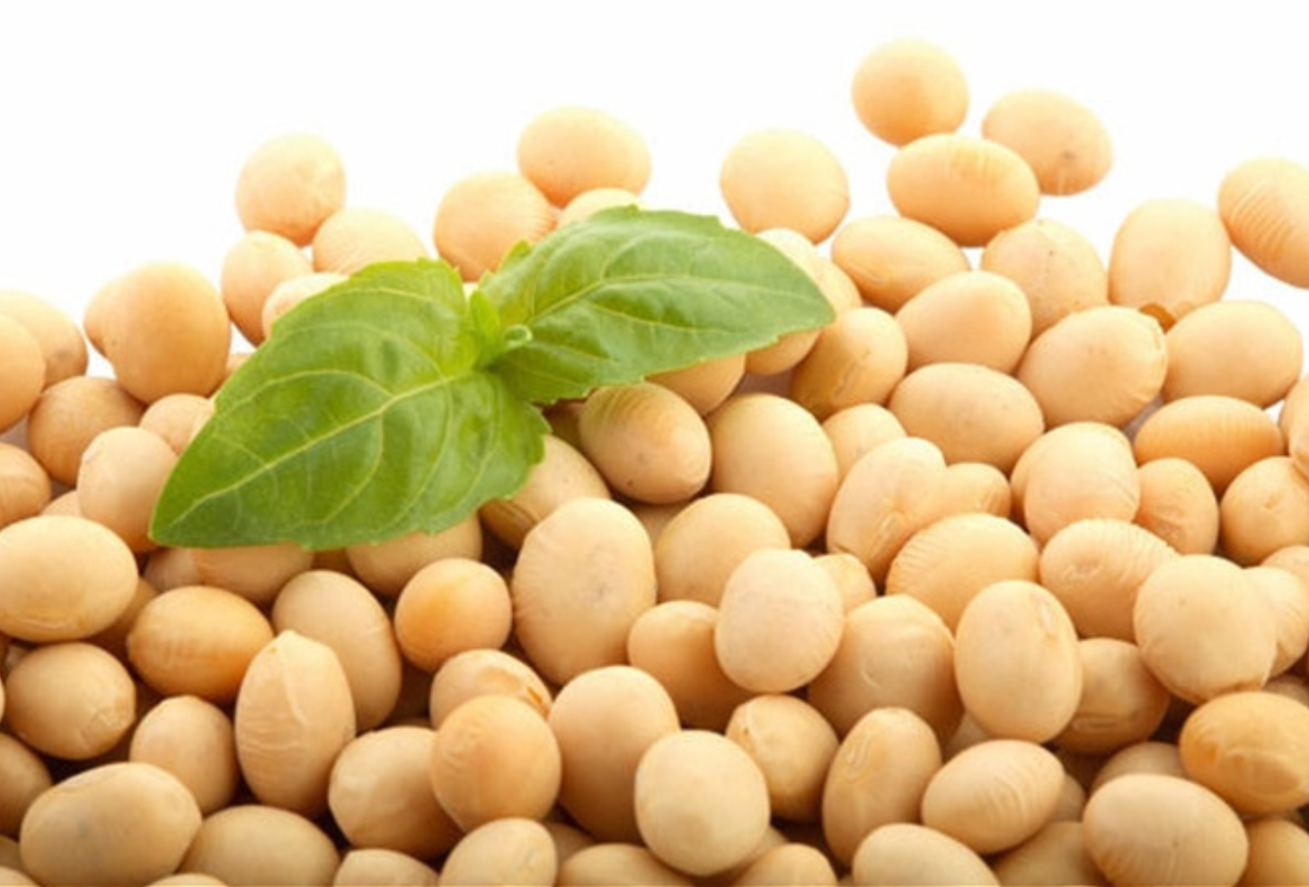 Chia sẻ kinh nghiệm nhập khẩu thực phẩm từ Hàn Nhật Úc