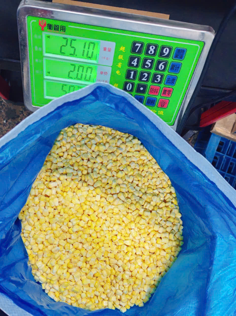 Nhập khẩu ngô đông lạnh: Vì sao doanh nghiệp mất 300-700 triệu chỉ sau một lô hàng? 