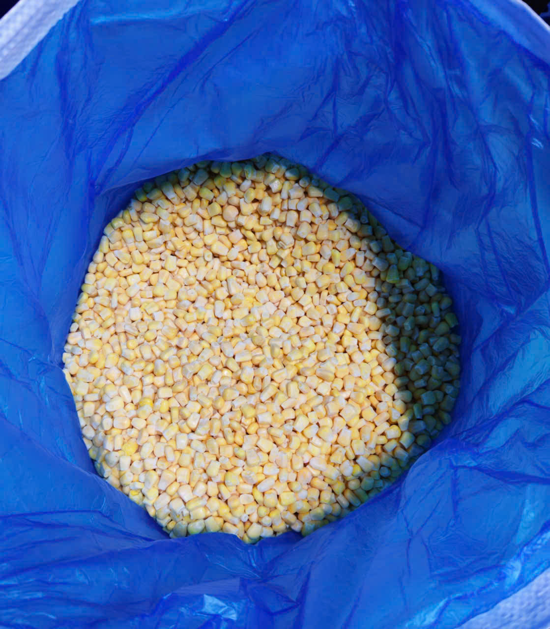 Nhập khẩu ngô đông lạnh: Vì sao doanh nghiệp mất 300-700 triệu chỉ sau một lô hàng? 