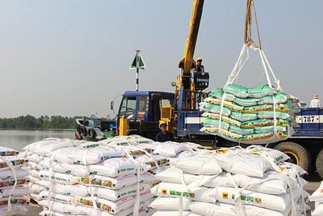 Xuất khẩu gạo sang Châu Phi với quy trình thực tế và bảng giá IR504 