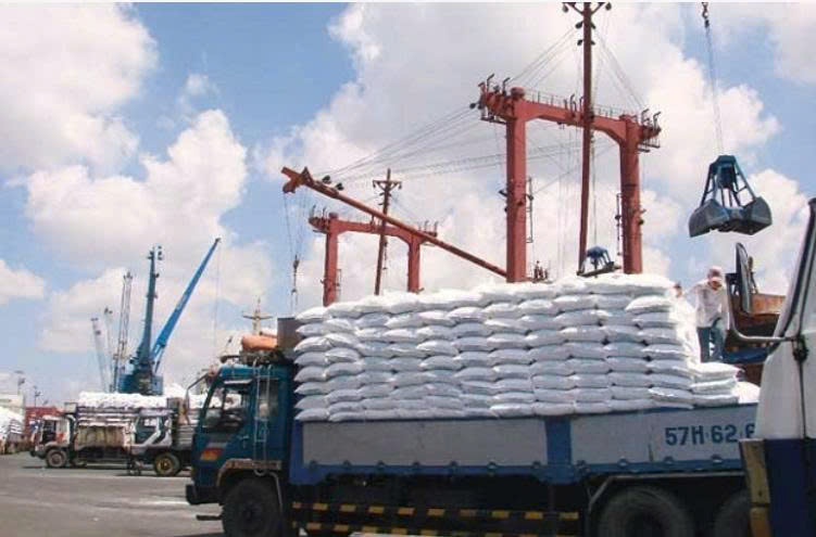 Xuất khẩu gạo sang Châu Phi với quy trình thực tế và bảng giá IR504 