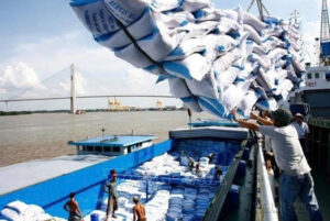 Xuất khẩu gạo sang Châu Phi với quy trình thực tế và bảng giá IR504