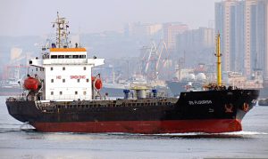 Professional International Sea Freight to Port KLang - Malaysia