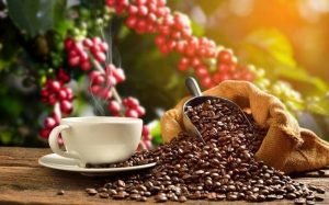 Xuất khẩu cà phê của Việt Nam hướng tới mục tiêu vượt 4 tỷ USD vào năm 2023