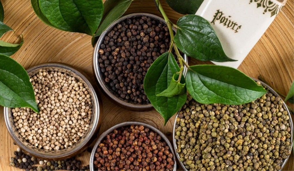 Xuất khẩu Tiêu đen Việt Nam sang Ả Rập Xê Út – Cơ hội làm giàu bền vững cùng Indochina247