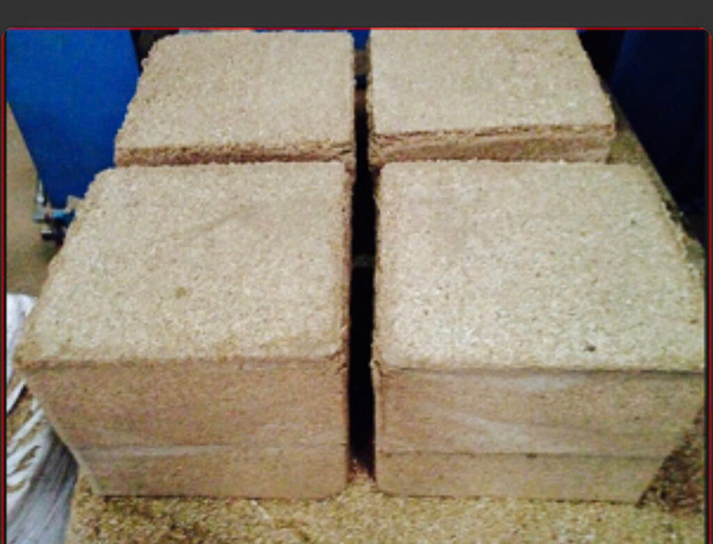 Vận chuyển đường biển mùn cưa thông ép khối xuất khẩu