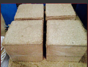 Vận chuyển đường biển mùn cưa thông ép khối xuất khẩu